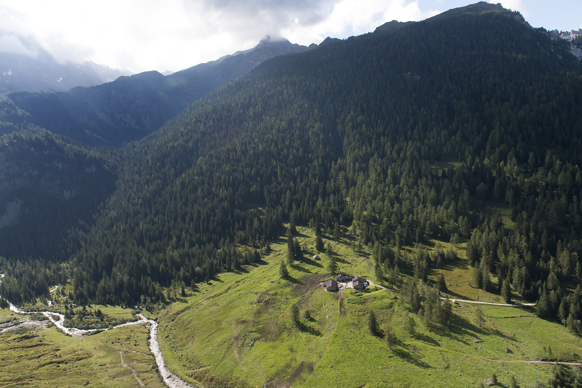 Alpeggi
