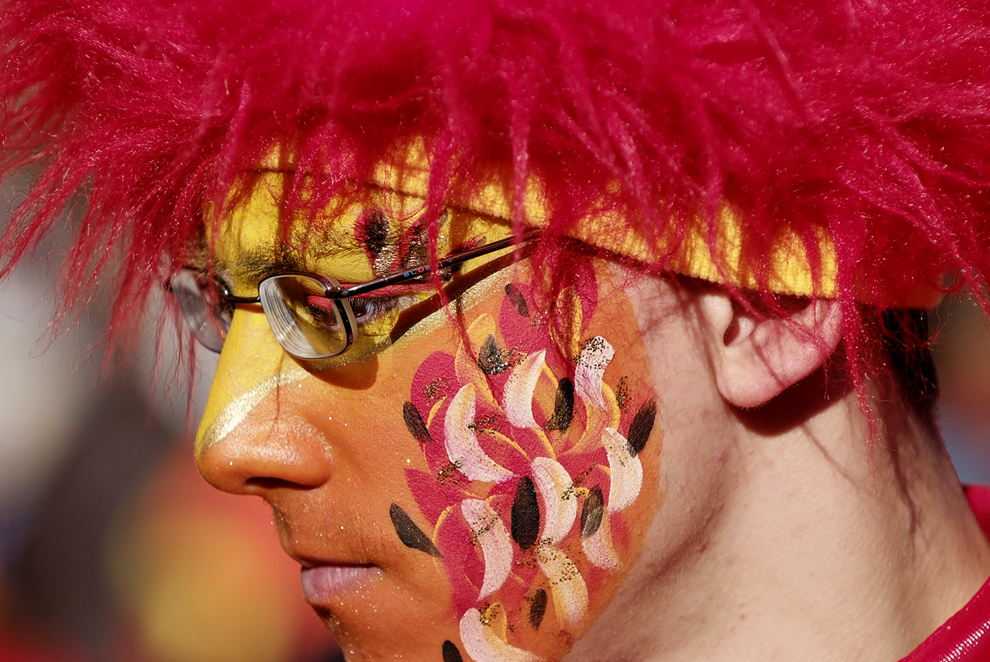 Carnevale di Bellinzona 24