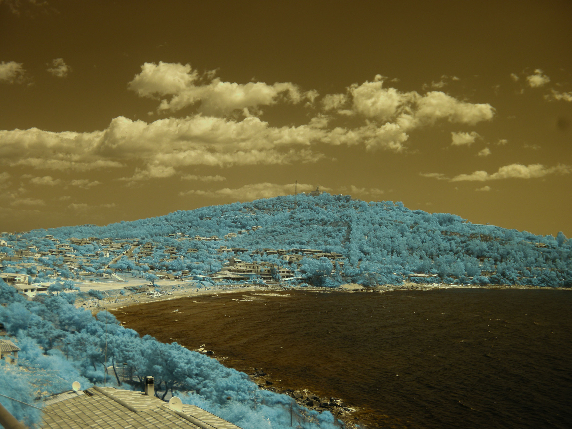 Sardegna 6