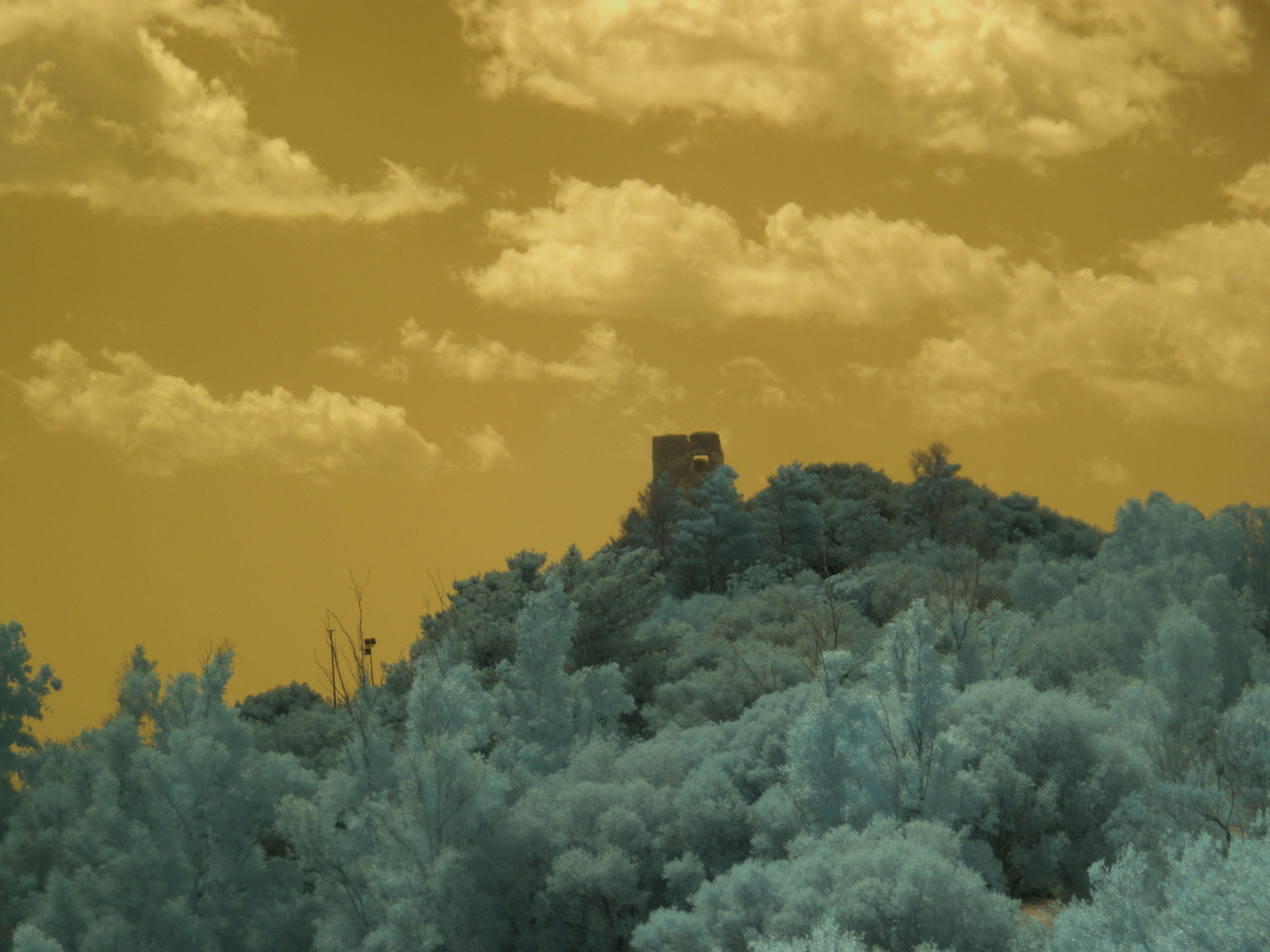 Sardegna 7