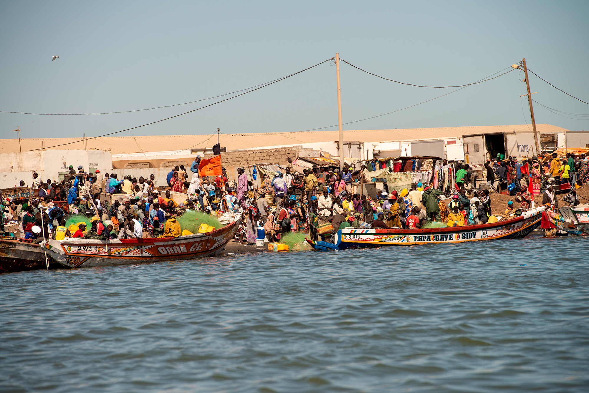 Senegal 11